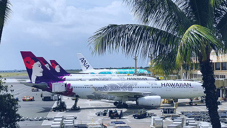 Review: Hawaiian Airlines A330 Business Class - Point Hacks